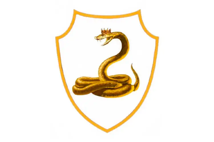 Нова українська організація з CS:GO