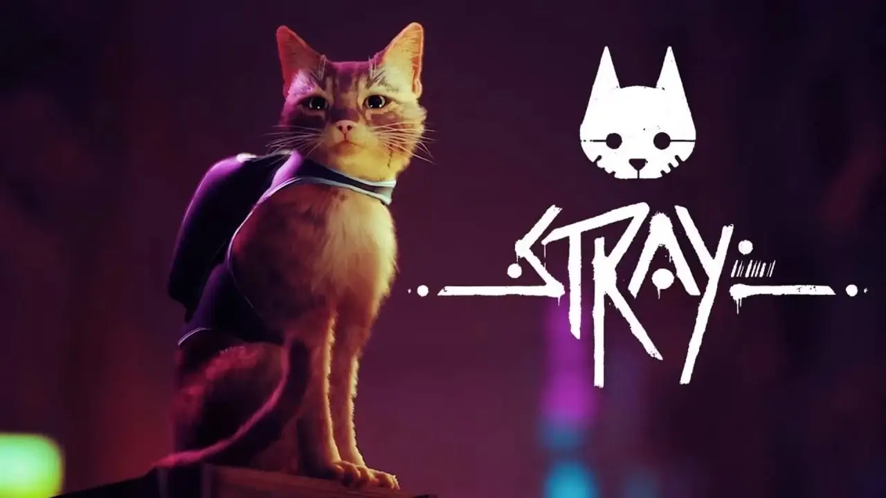 Stray вийде на Xbox One та Xbox Series